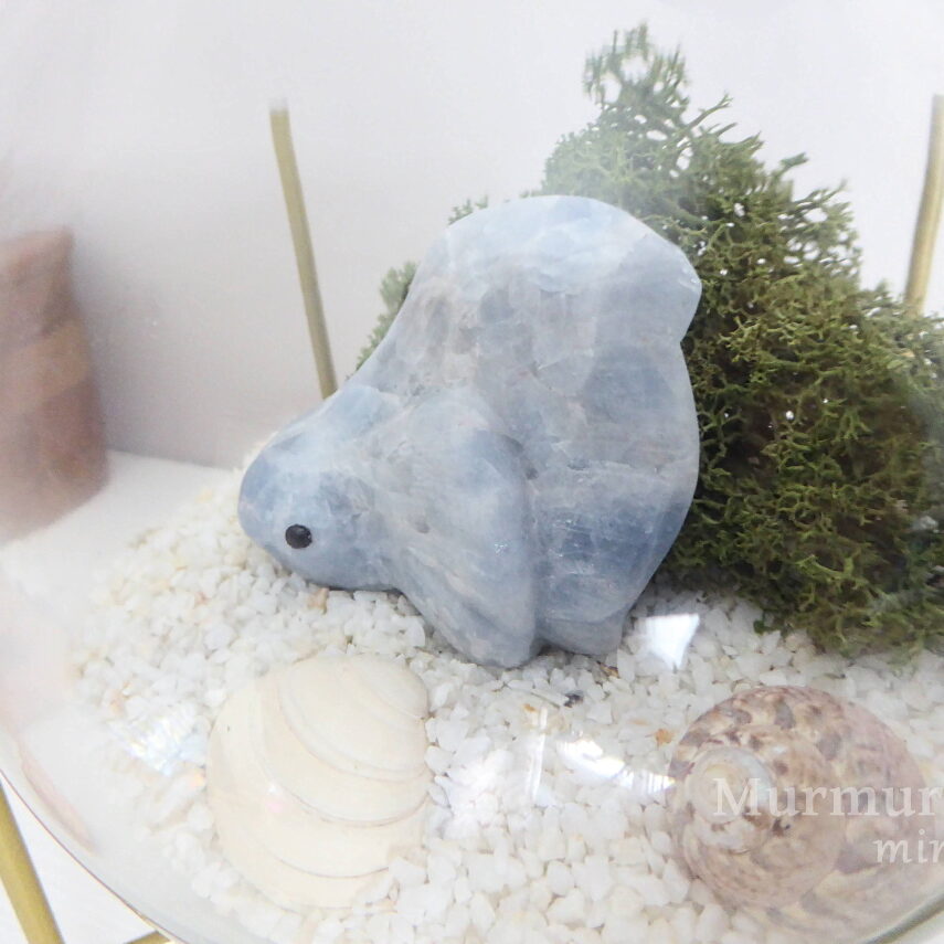 Fighting fish back zoom 1-1140p